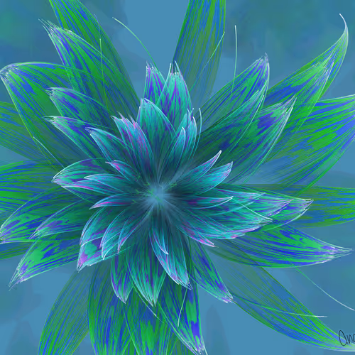 Fleur By Anapet