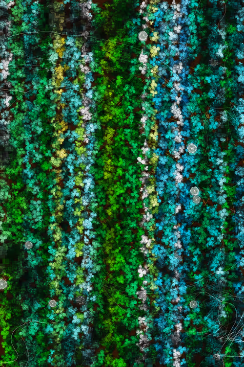 Item #478000015 Media