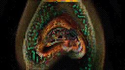 Item #472000039 Media