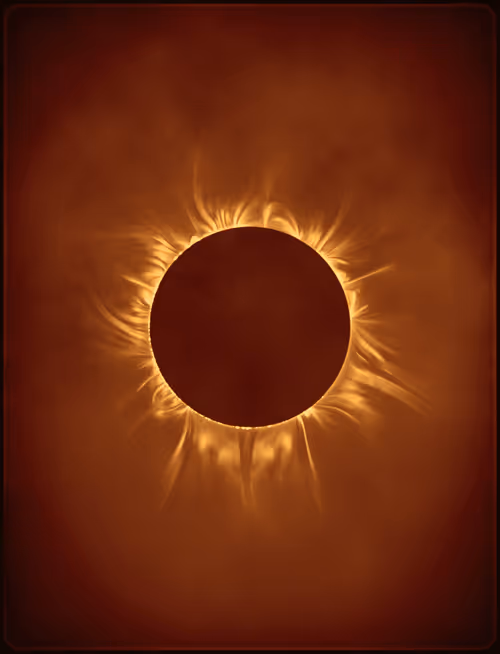 Item #423000286 Media