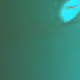 477000021