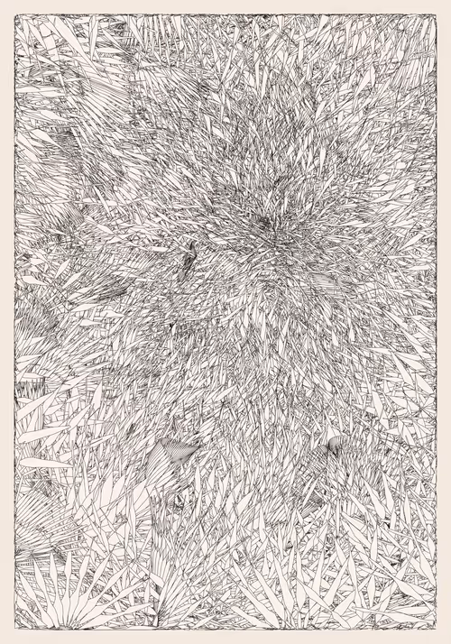 Item #382000191 Media