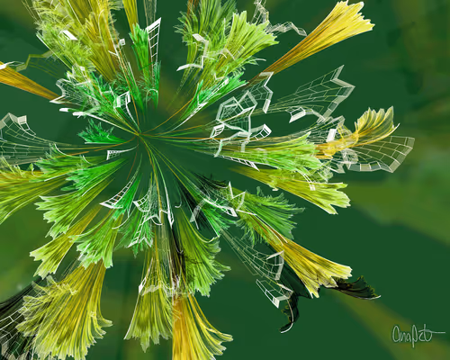 Item #378000256 Media