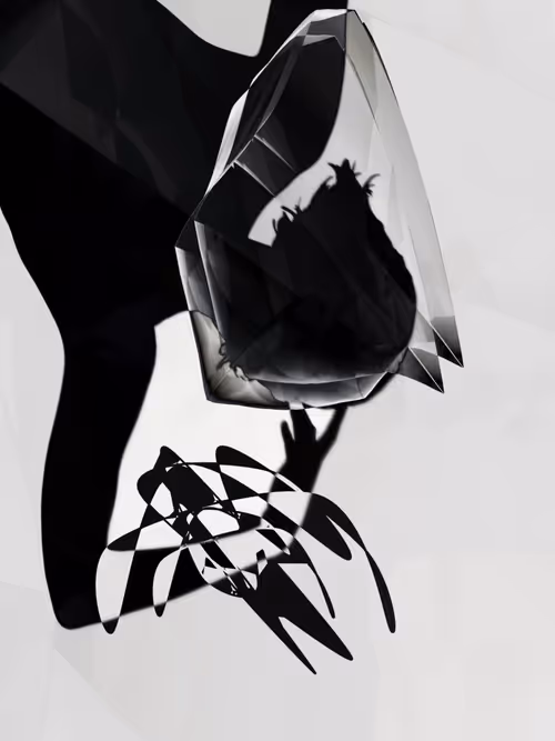 Item #455000308 Media