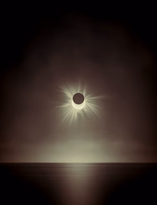 Item #423000203 Media