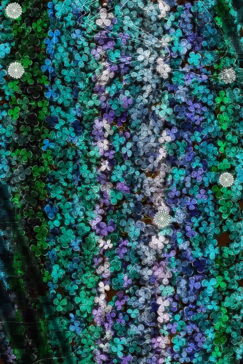 Item #478000021 Media