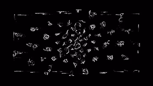 Item #383000021 Media