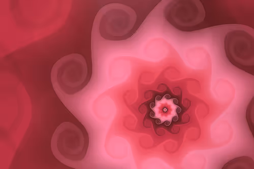 Item #394000041 Media