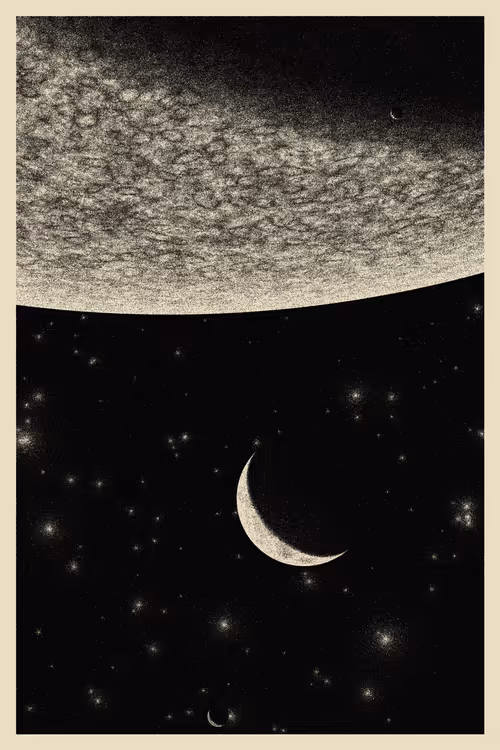 Item #434000173 Media