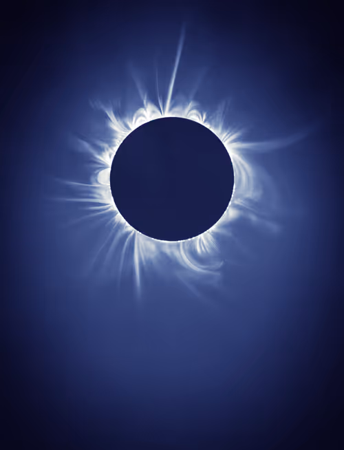 Item #423000197 Media