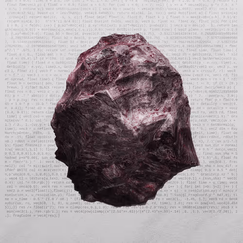 This Is Not A Rock By Nicole Vella