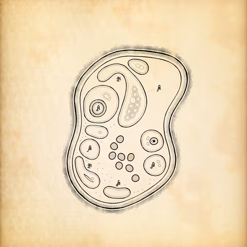 Item #487000307 Media