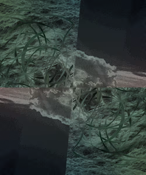 Item #405000116 Media