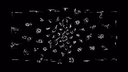 Item #383000021 Media