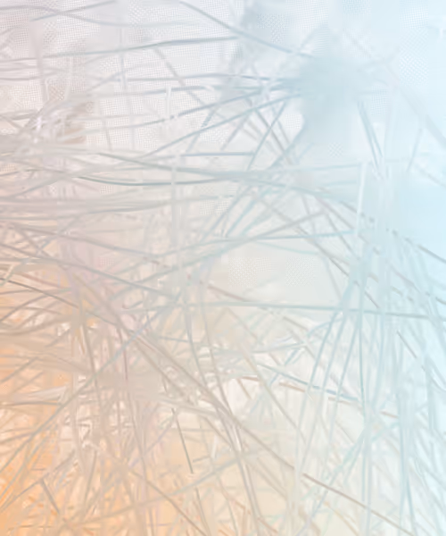 Item #405000009 Media