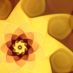 Volute #14