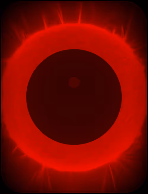 Item #423000276 Media