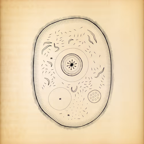 Cytographia By Golan Levin