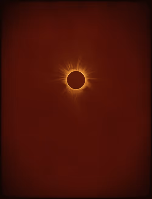 Item #423000017 Media