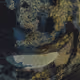 458000126