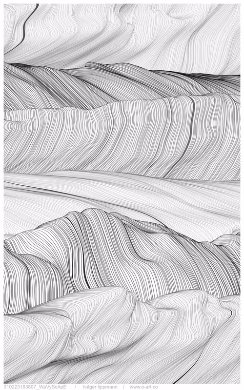 Item #406000179 Media