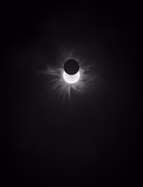 Item #423000062 Media