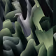 481000178