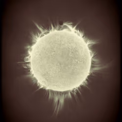 Solar Transits #283