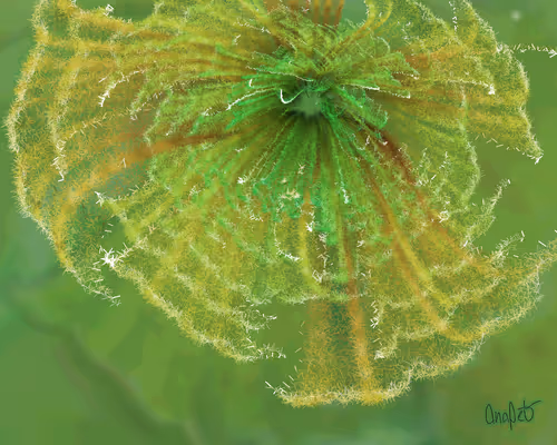 Item #378000114 Media