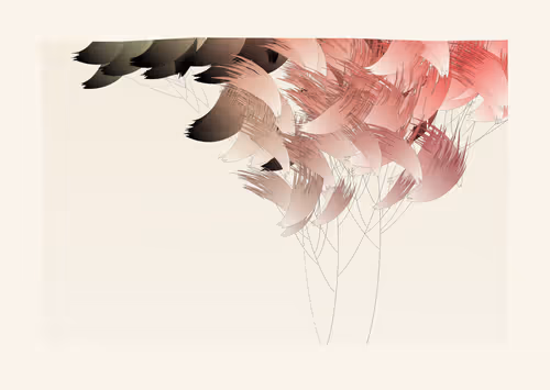 Item #467000010 Media