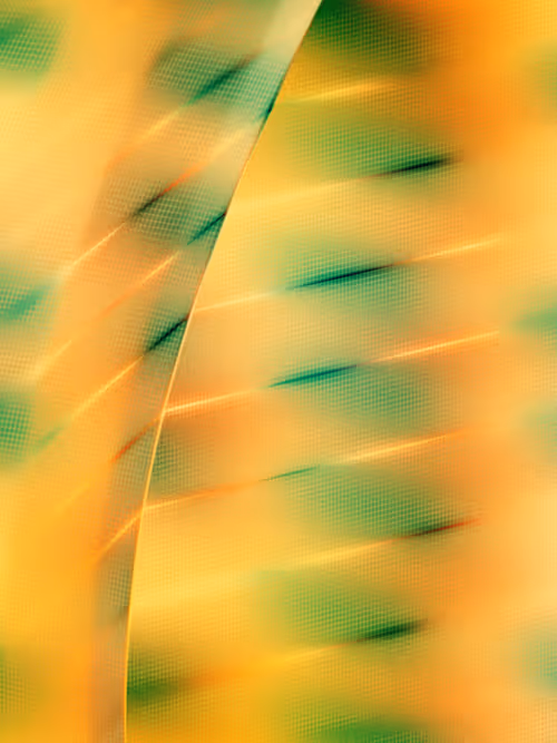 Item #484000353 Media