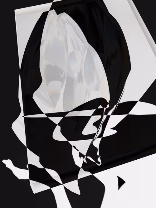 Item #455000081 Media