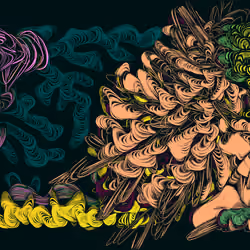 Spaghetti Bones #405