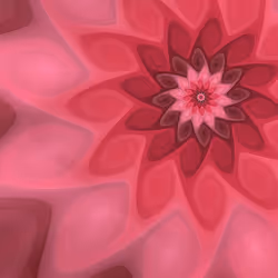 Volute #85