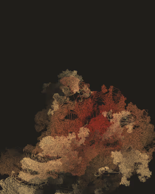 Item #458000148 Media