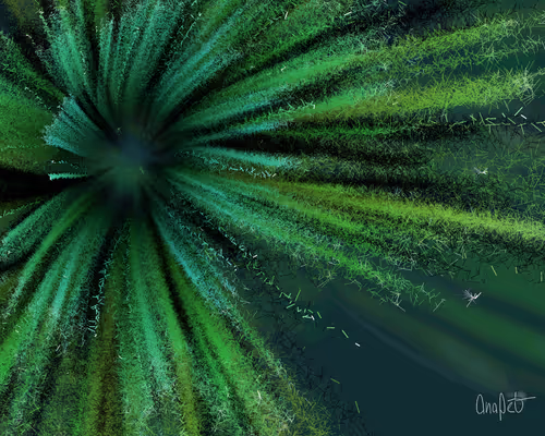 Item #378000261 Media