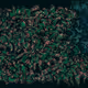 456000160