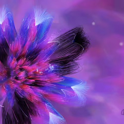 Fleur #224