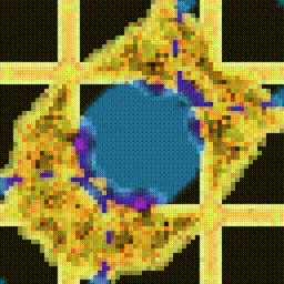 Item #395000209 Media