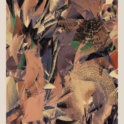 Backwards #97