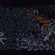 456000031