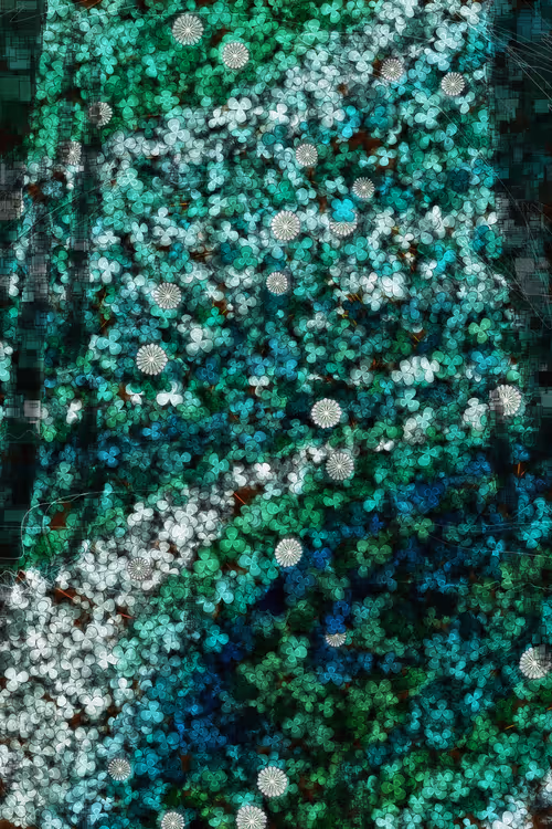 Item #478000030 Media