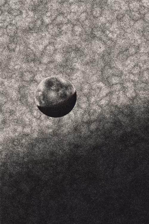 Item #434000157 Media