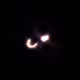 424000239