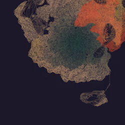 Mycelia #112