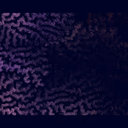 Spaghetti Bones #580