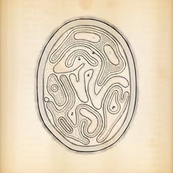 Cytographia #388