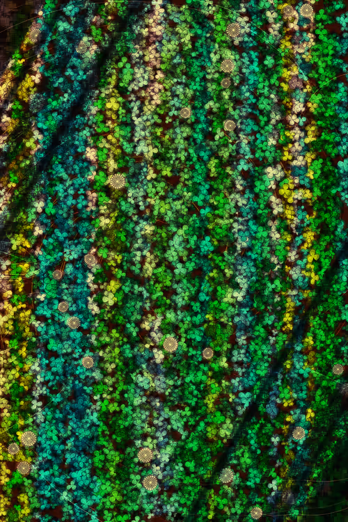 Item #478000037 Media