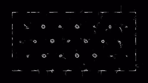 Item #383000053 Media