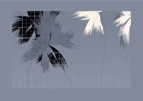 Item #467000003 Media